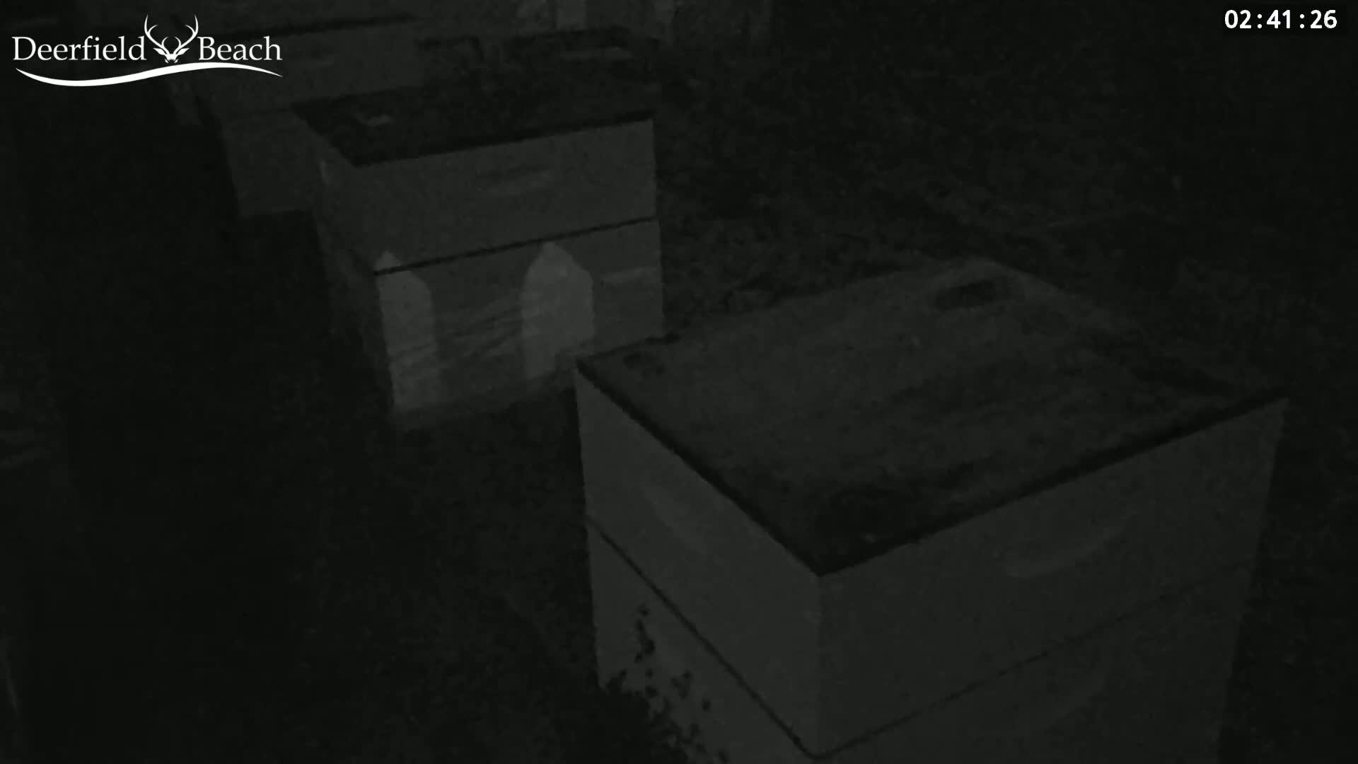 Deerfield Beach City Bee Apiary Farm Live Cam - Deerfield Beach, Broward, Florida, USA