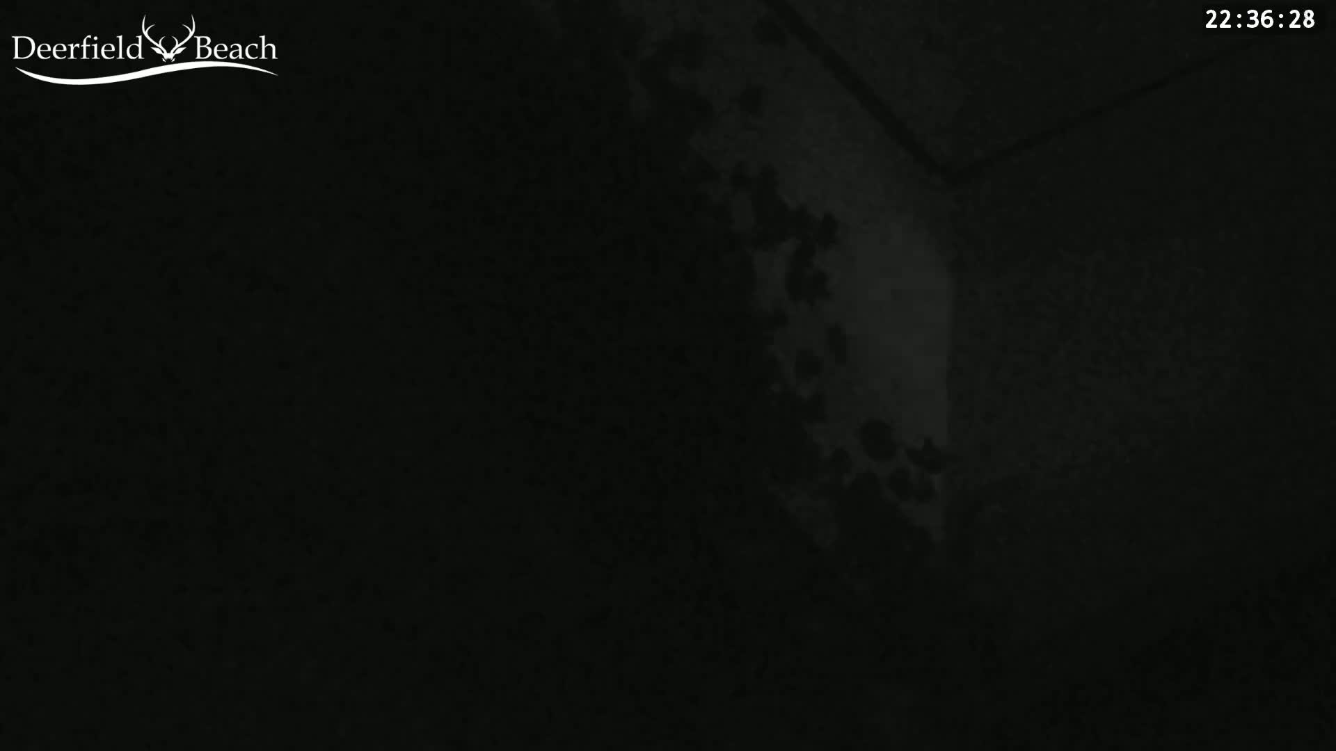 A dark, grainy image shows a dimly lit corner of a room at night.