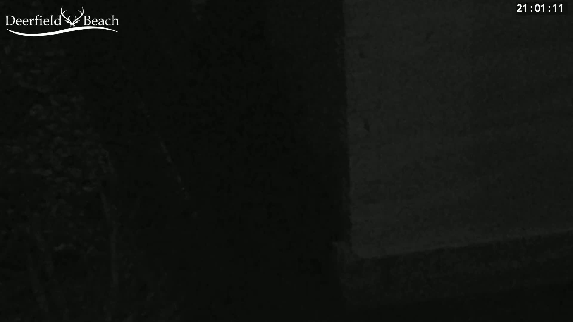 A dark, nighttime image shows a blurry view of vegetation to the left and a wall to the right.
