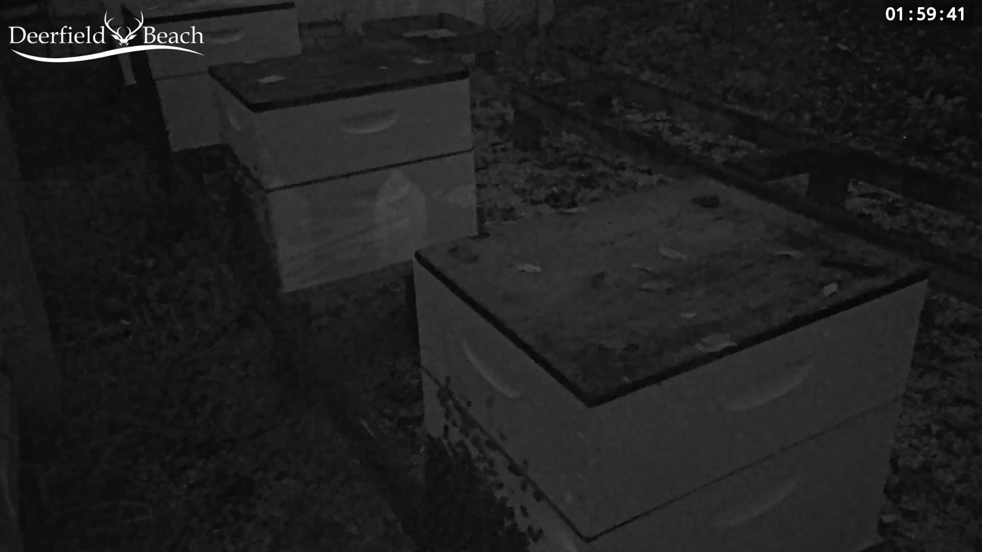 Deerfield Beach City Bee Apiary Farm Live Cam - Deerfield Beach, Broward, Florida, USA