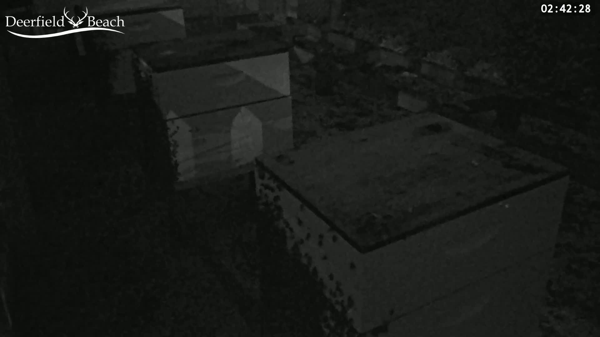 Deerfield Beach City Bee Apiary Farm Live Cam - Deerfield Beach, Broward, Florida, USA