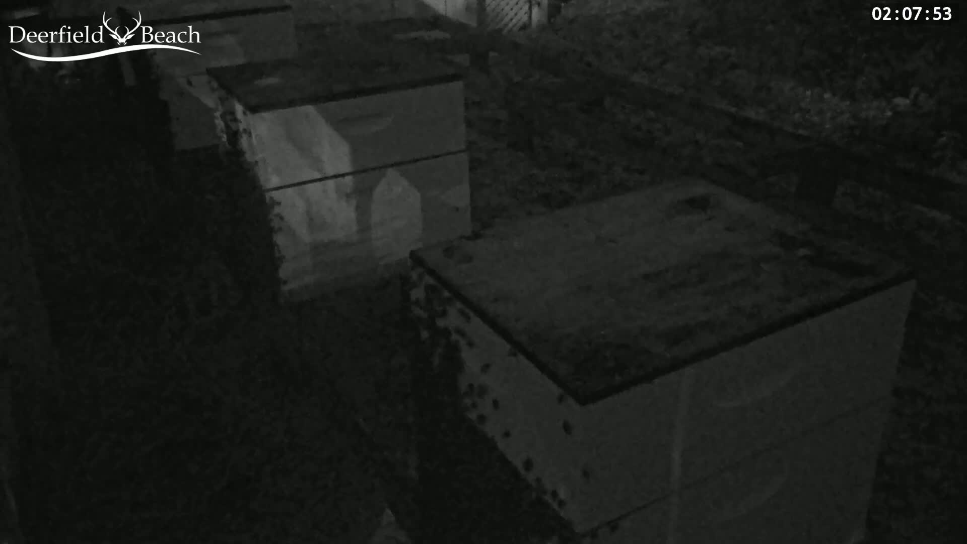 Deerfield Beach City Bee Apiary Farm Live Cam - Deerfield Beach, Broward, Florida, USA
