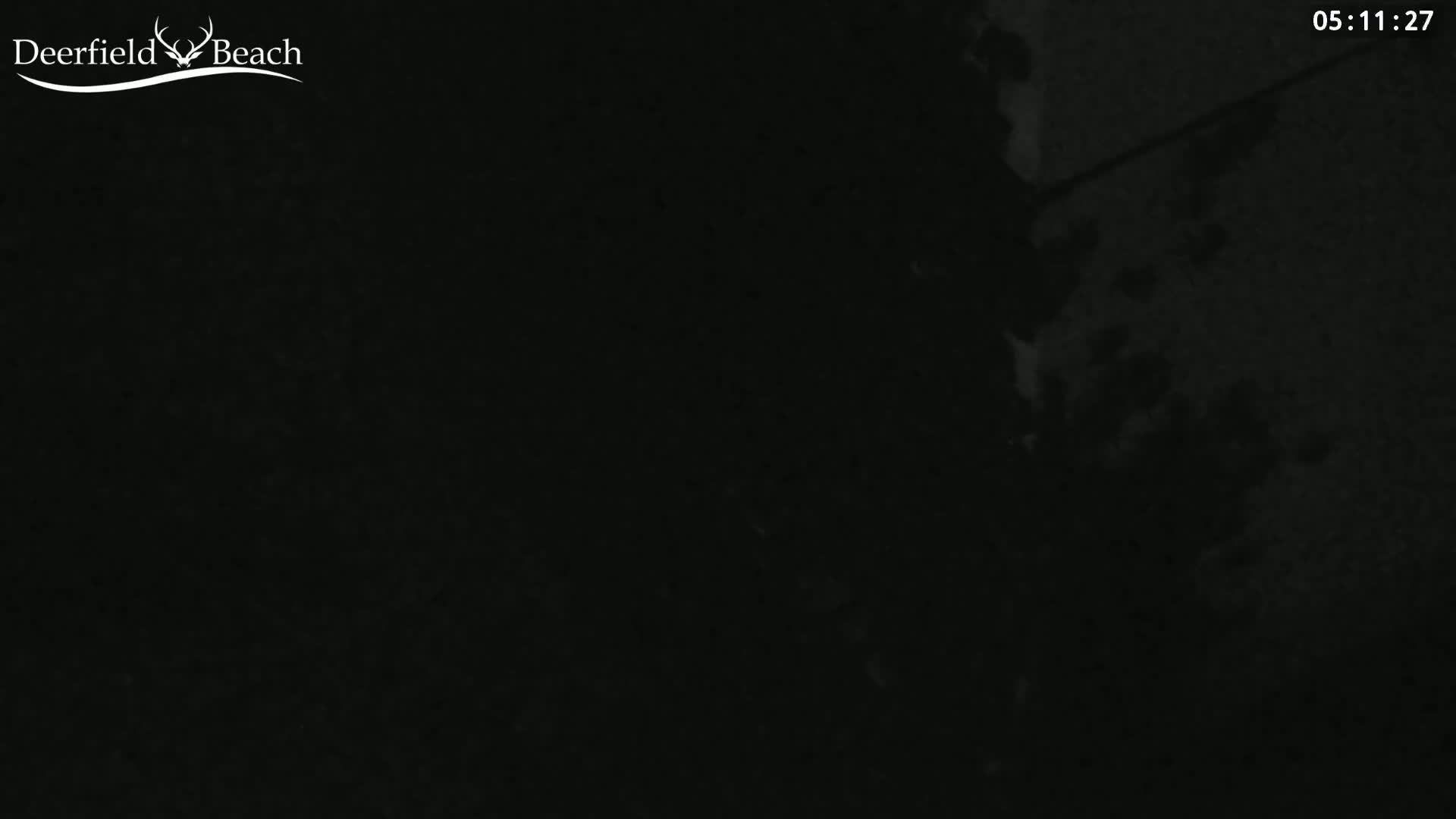 A dark, nighttime image shows an indistinct, shadowy area, possibly outdoors.