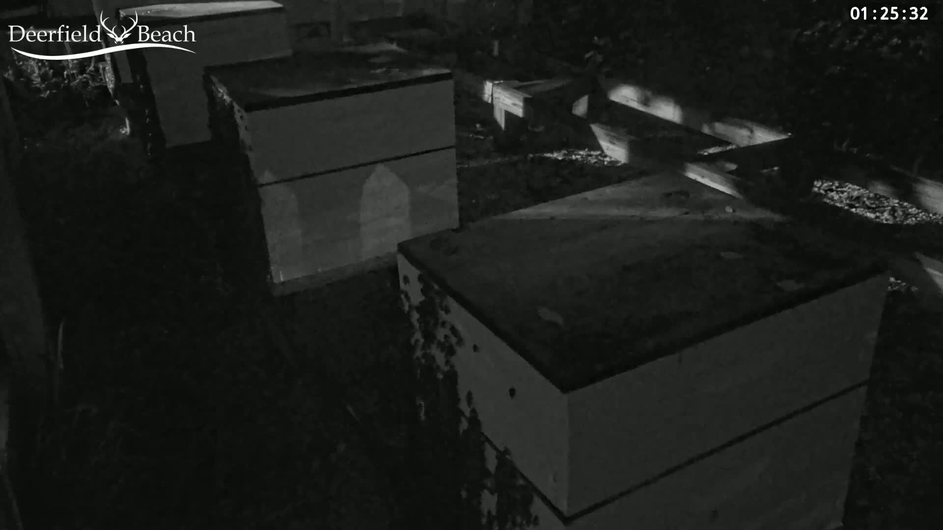 Deerfield Beach City Bee Apiary Farm Live Cam - Deerfield Beach, Broward, Florida, USA