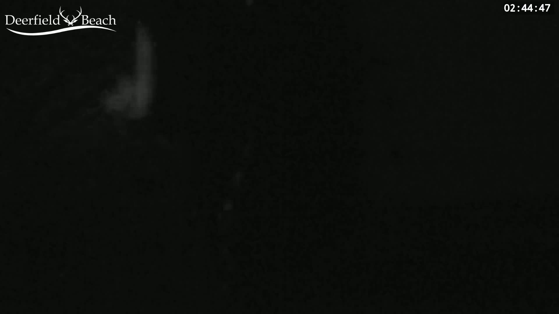Deerfield Beach City Bee Apiary Farm Live Cam - Deerfield Beach, Broward, Florida, USA