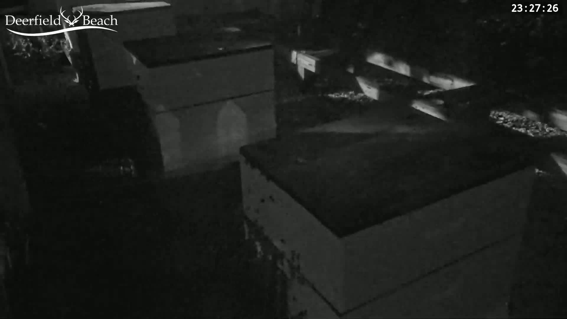 Deerfield Beach City Bee Apiary Farm Live Cam - Deerfield Beach, Broward, Florida, USA