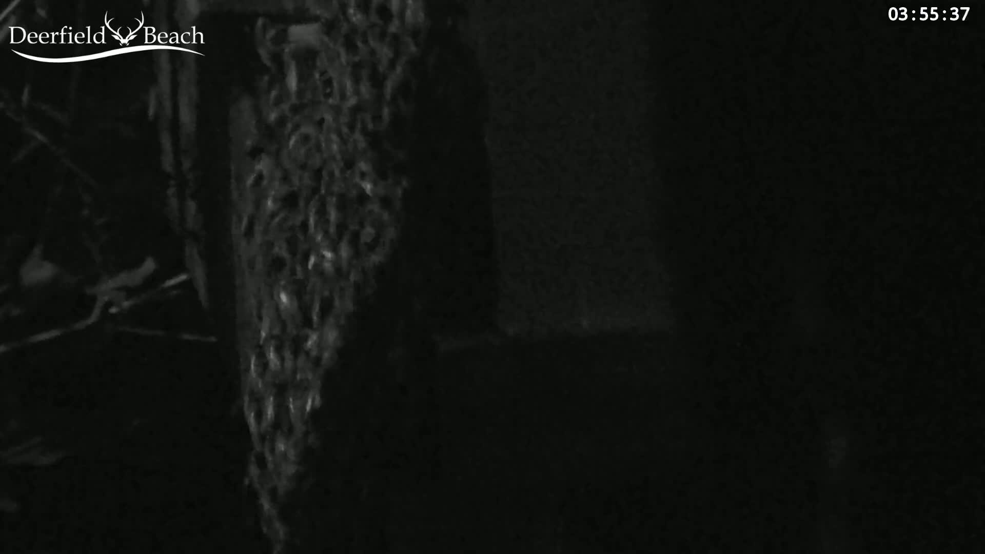 A grainy, dark nighttime image shows a textured surface, possibly a tree trunk or fence, partially visible against a completely black background.