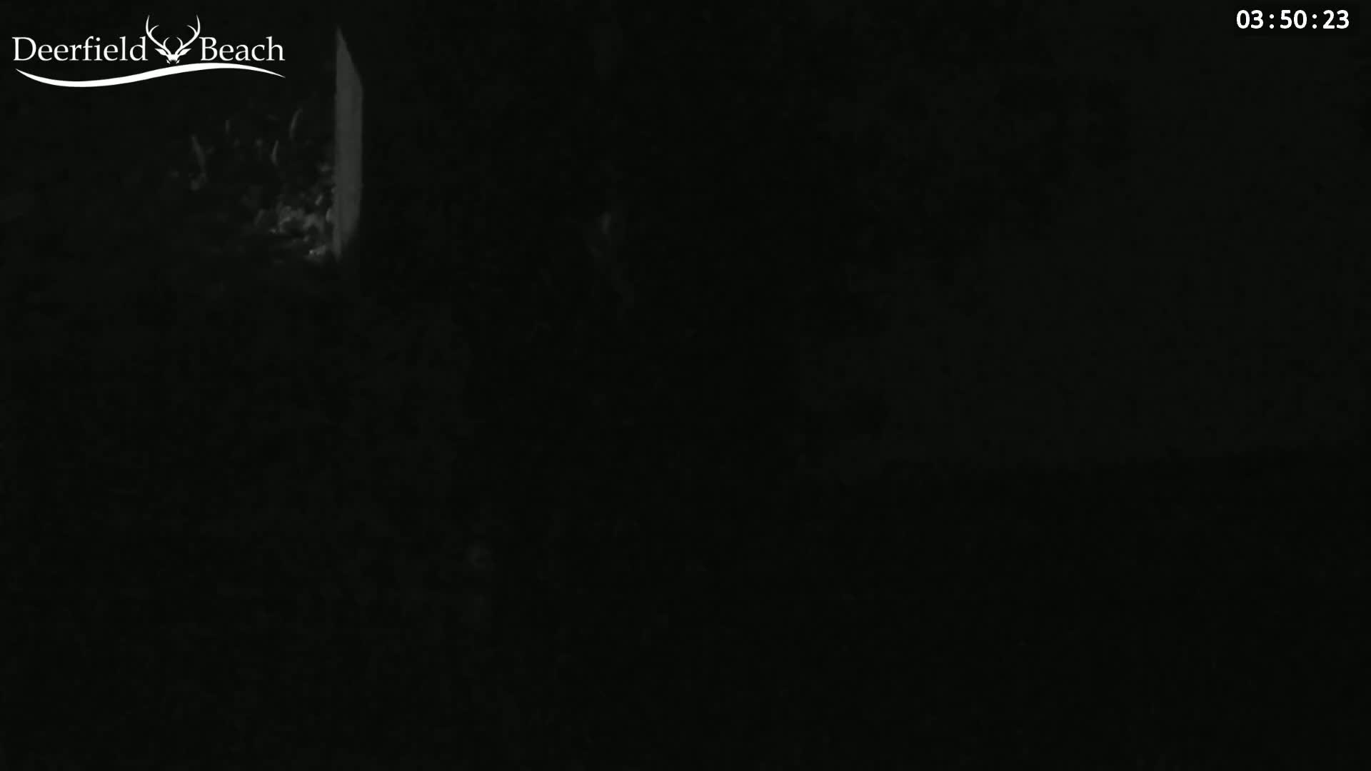 A mostly dark image shows a dimly lit area at night, possibly outdoors.
