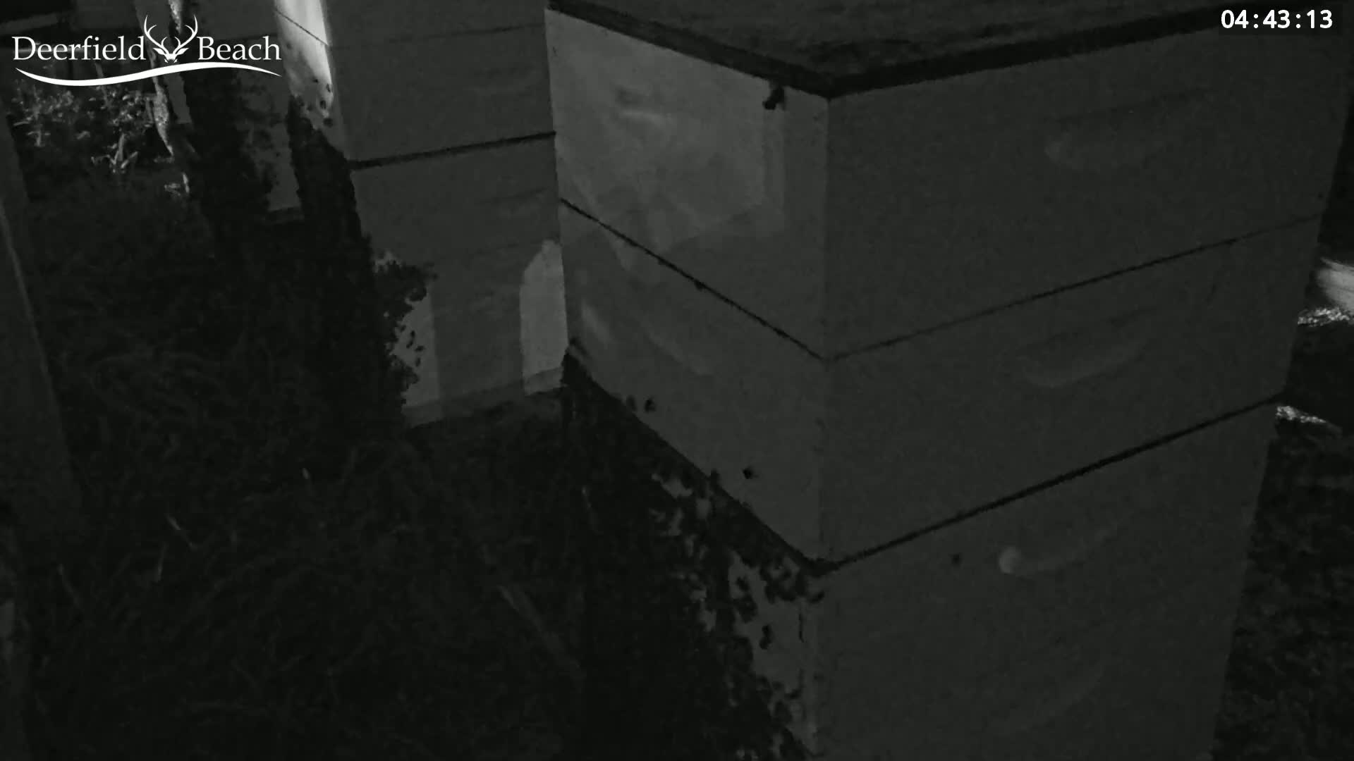 Deerfield Beach City Bee Apiary Farm Live Cam - Deerfield Beach, Broward, Florida, USA