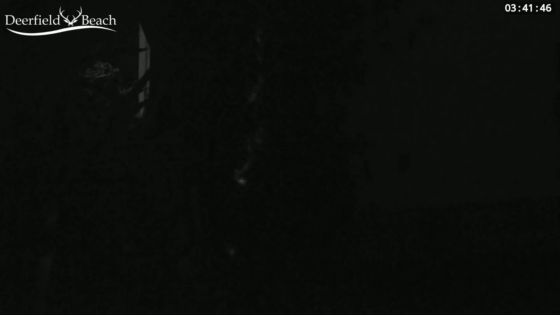 A dark, nighttime scene shows a blurry, indistinct shape near a bright vertical line.