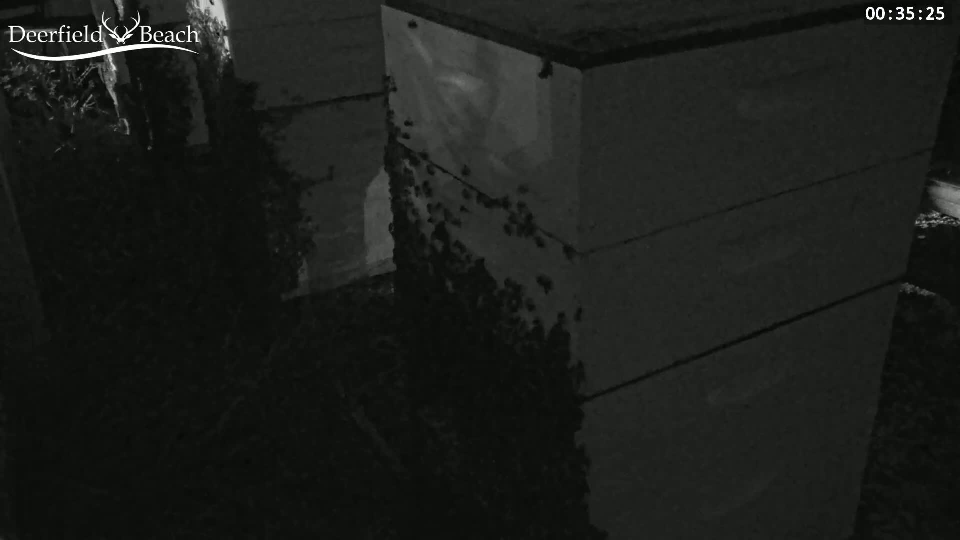 Deerfield Beach City Bee Apiary Farm Live Cam - Deerfield Beach, Broward, Florida, USA