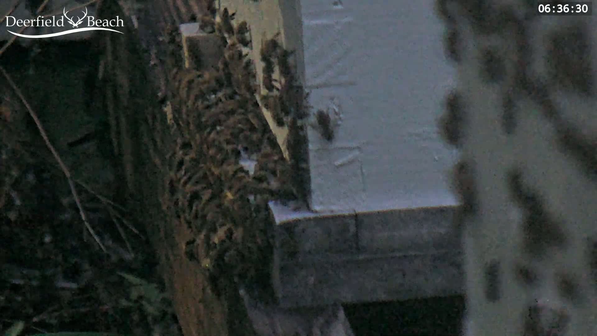 Deerfield Beach City Bee Apiary Farm Live Cam - Deerfield Beach, Broward, Florida, USA