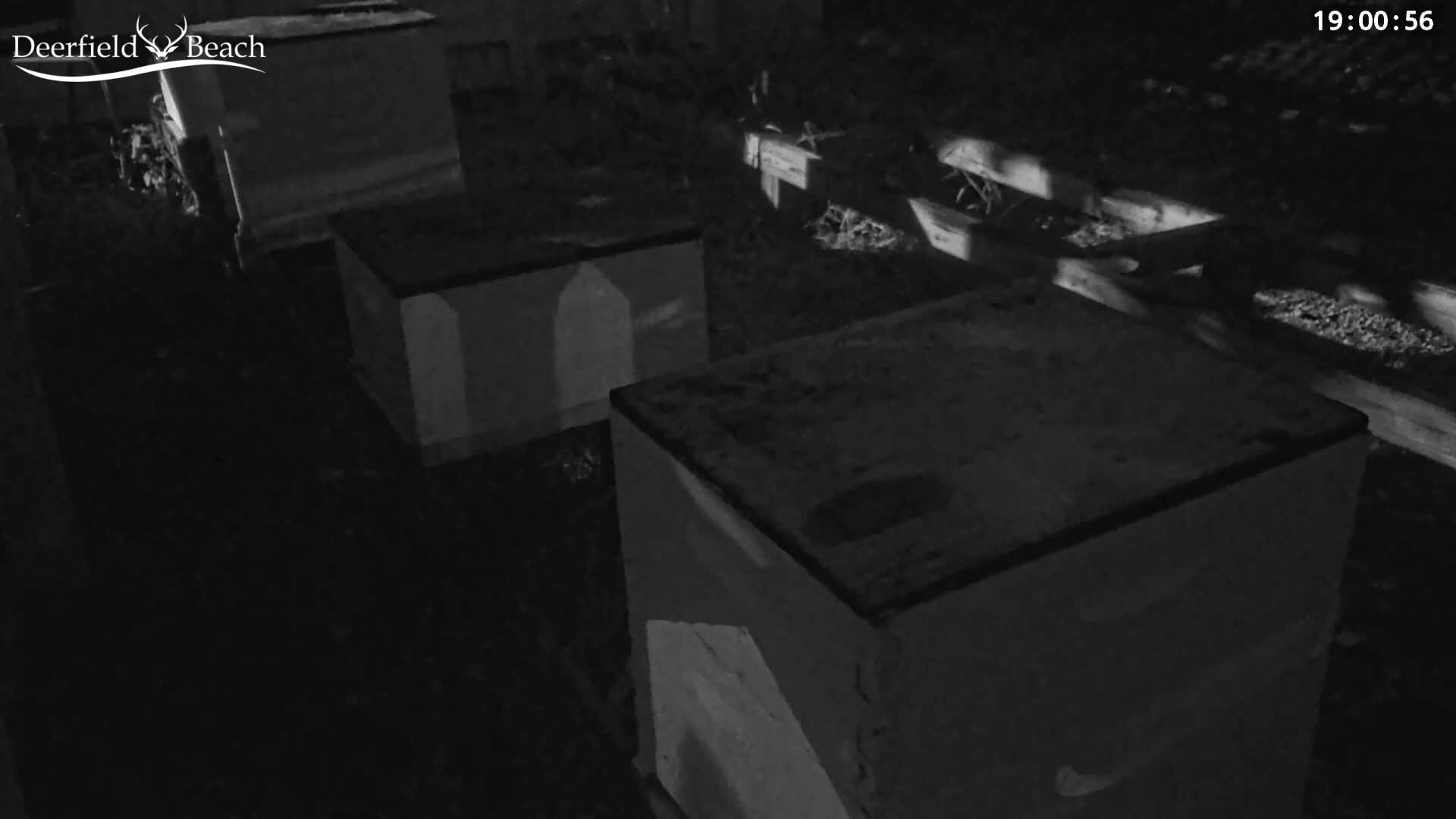 Deerfield Beach City Bee Apiary Farm Live Cam - Deerfield Beach, Broward, Florida, USA