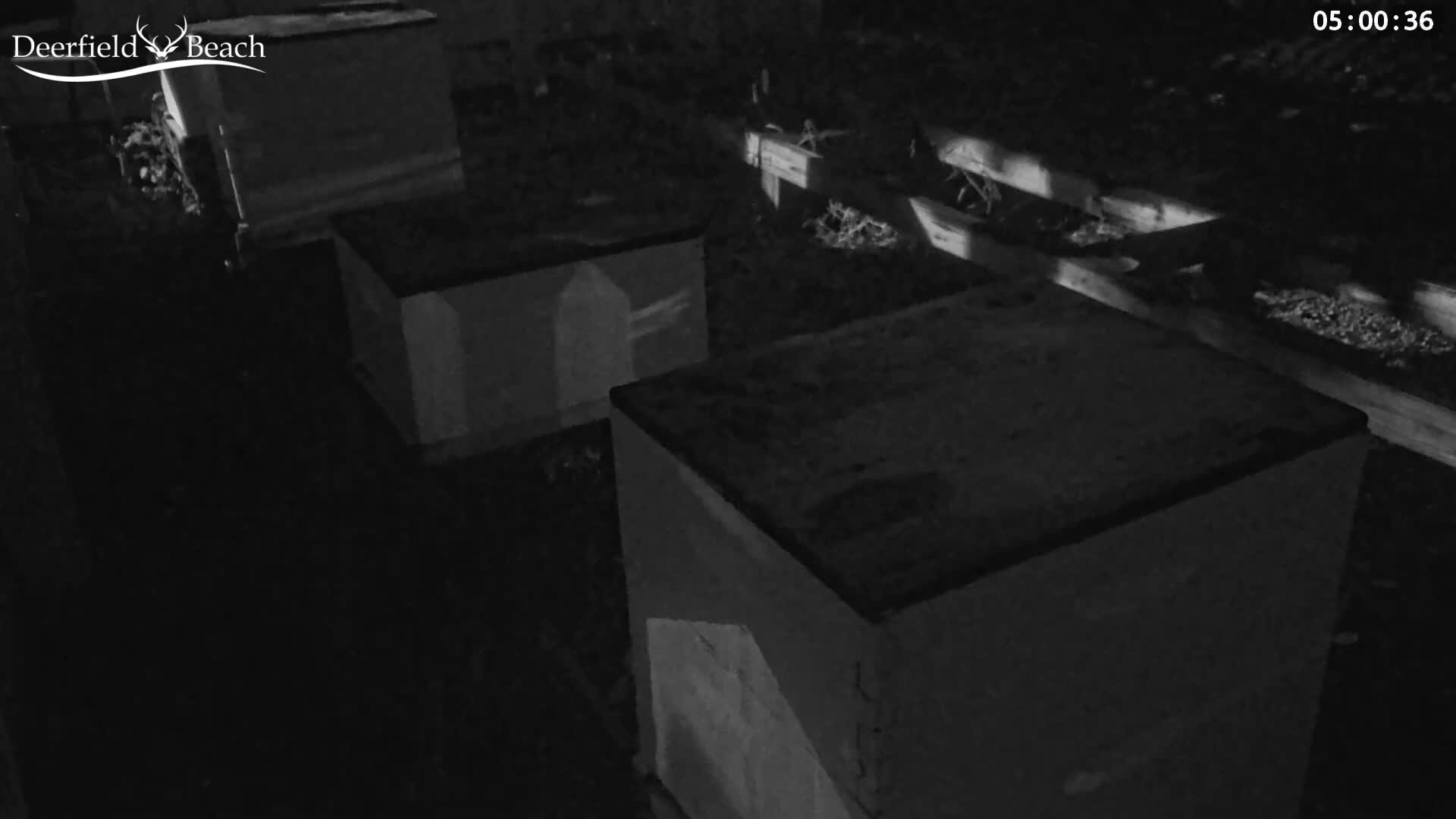 Deerfield Beach City Bee Apiary Farm Live Cam - Deerfield Beach, Broward, Florida, USA