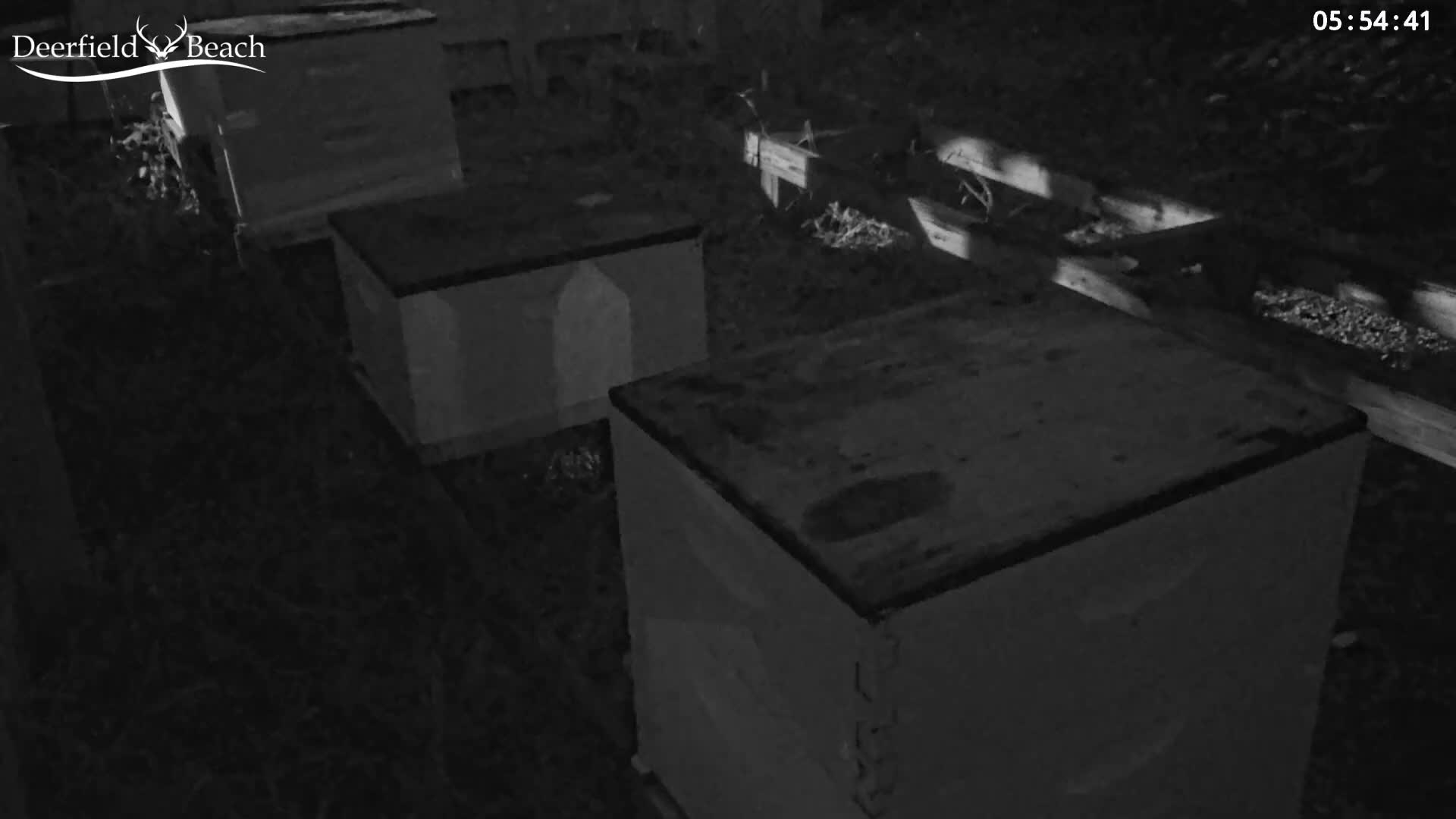 Deerfield Beach City Bee Apiary Farm Live Cam - Deerfield Beach, Broward, Florida, USA