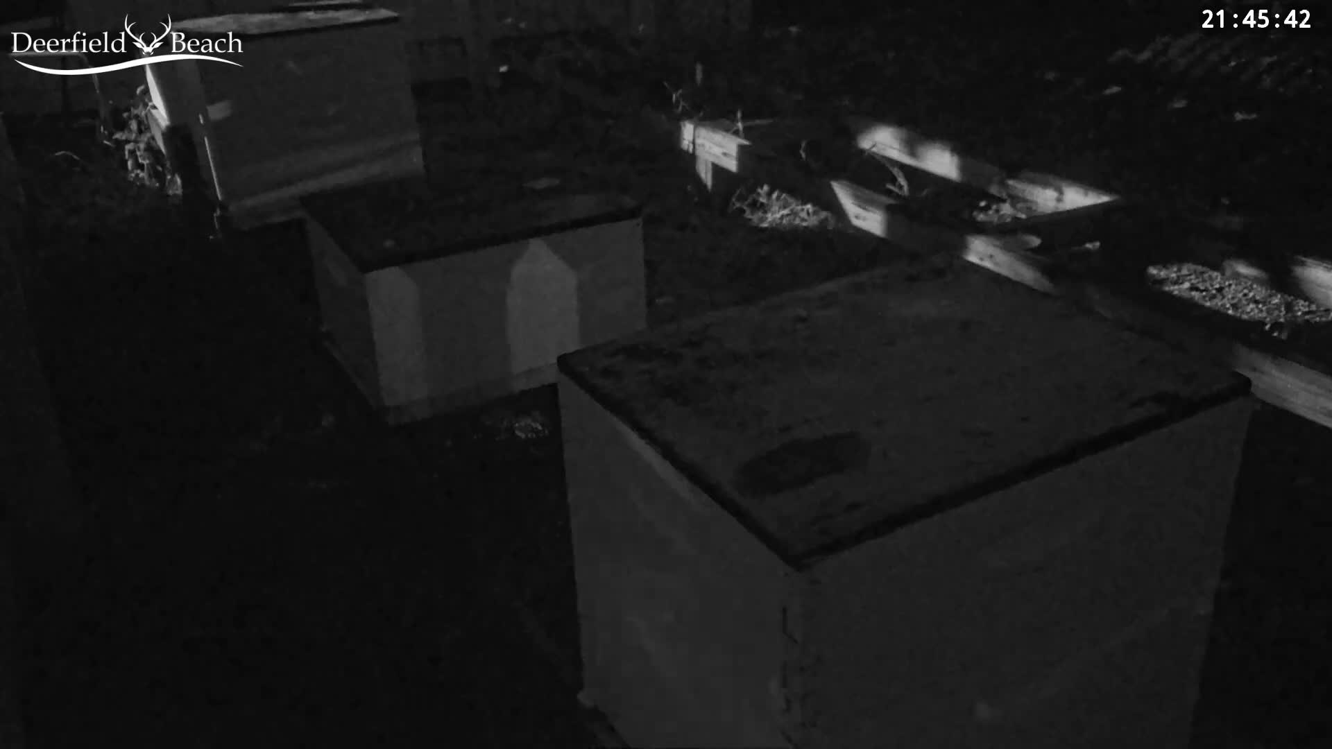 Deerfield Beach City Bee Apiary Farm Live Cam - Deerfield Beach, Broward, Florida, USA