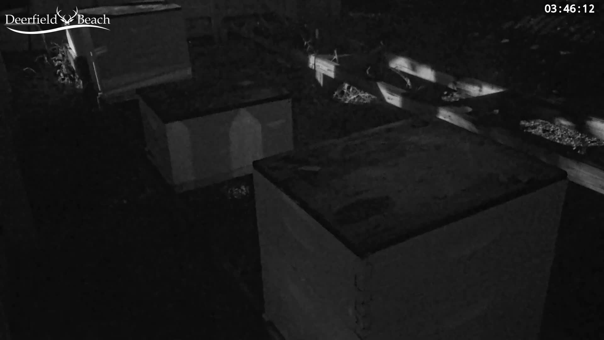 A dark, clear night reveals an outdoor scene with three large rectangular structures, possibly planters or barriers, on uneven ground next to wooden planks.