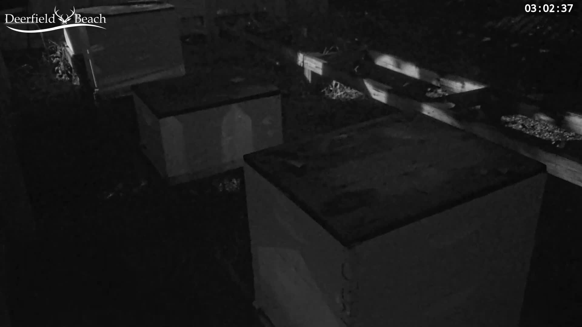 A very dark outdoor scene at night reveals three large, indistinct rectangular boxes positioned on the ground among sparse vegetation, with a shadowy fence visible in the background.