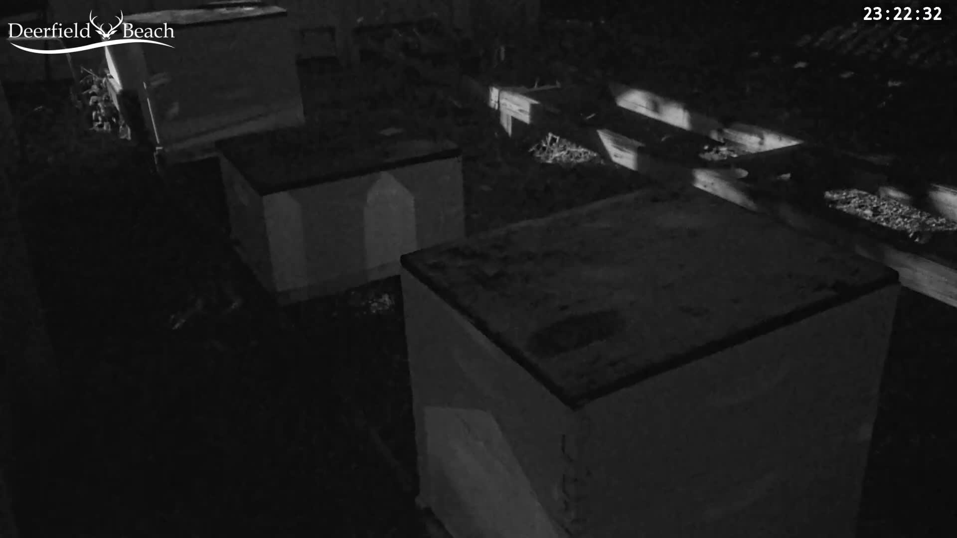 Deerfield Beach City Bee Apiary Farm Live Cam - Deerfield Beach, Broward, Florida, USA