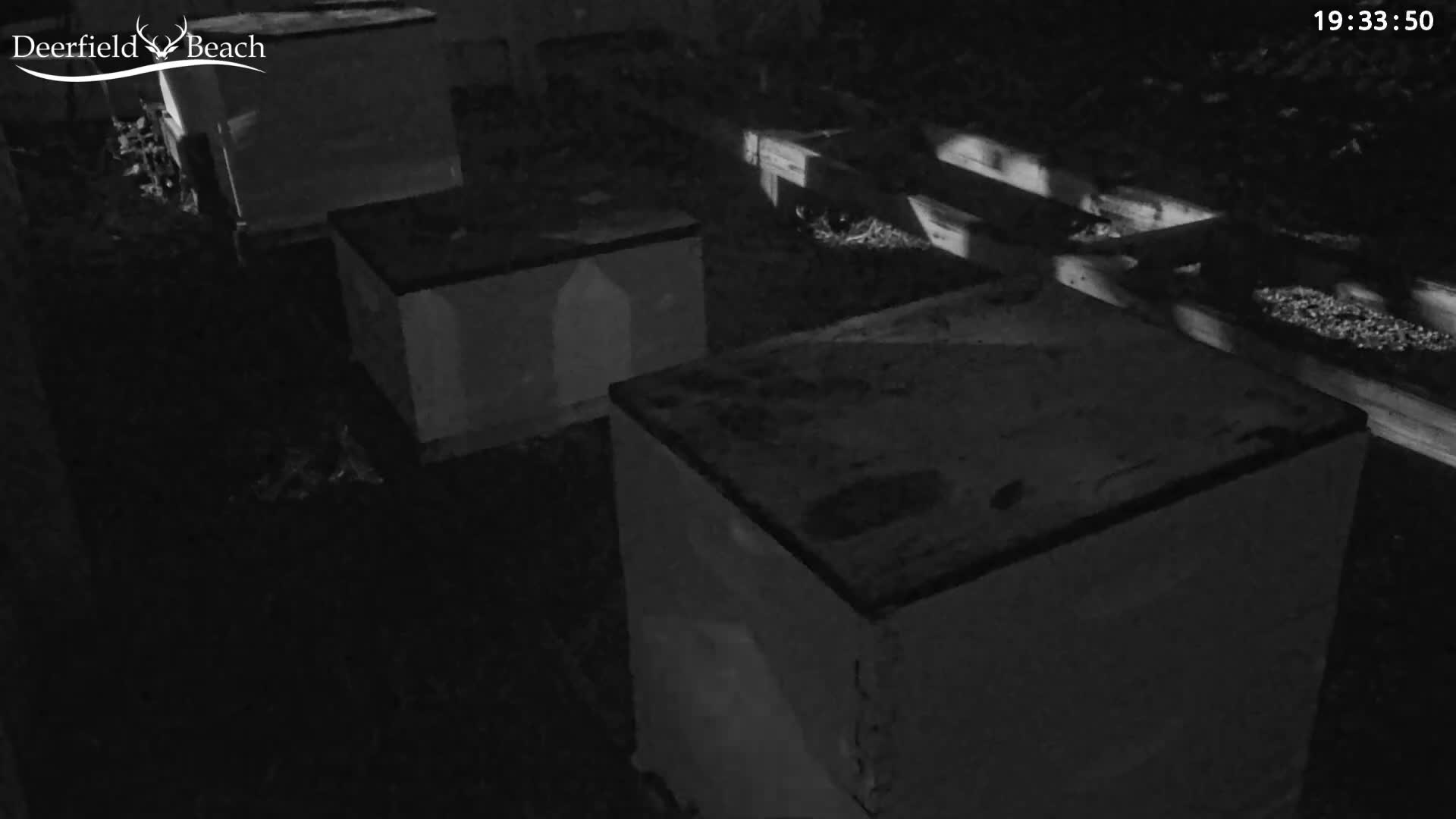Deerfield Beach City Bee Apiary Farm Live Cam - Deerfield Beach, Broward, Florida, USA