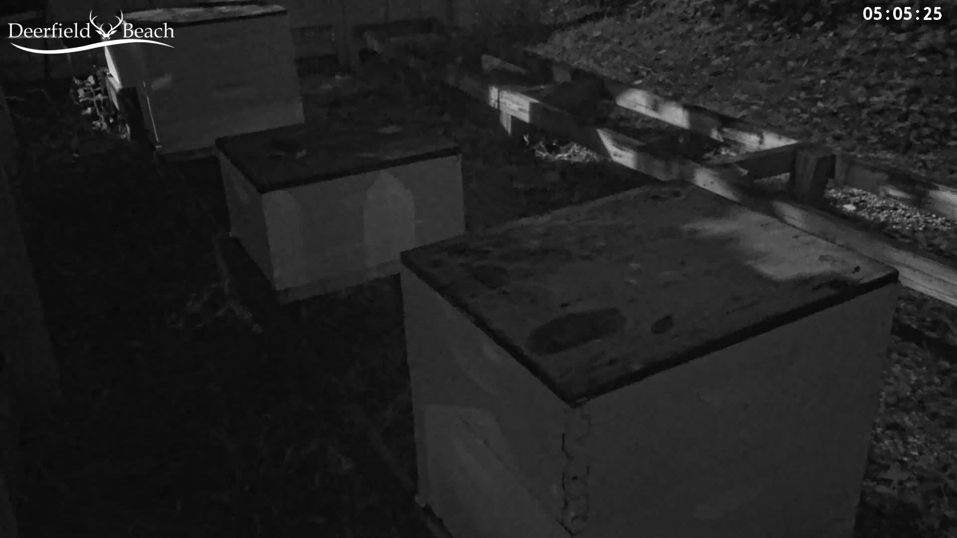 Deerfield Beach City Bee Apiary Farm Live Cam - Deerfield Beach, Broward, Florida, USA
