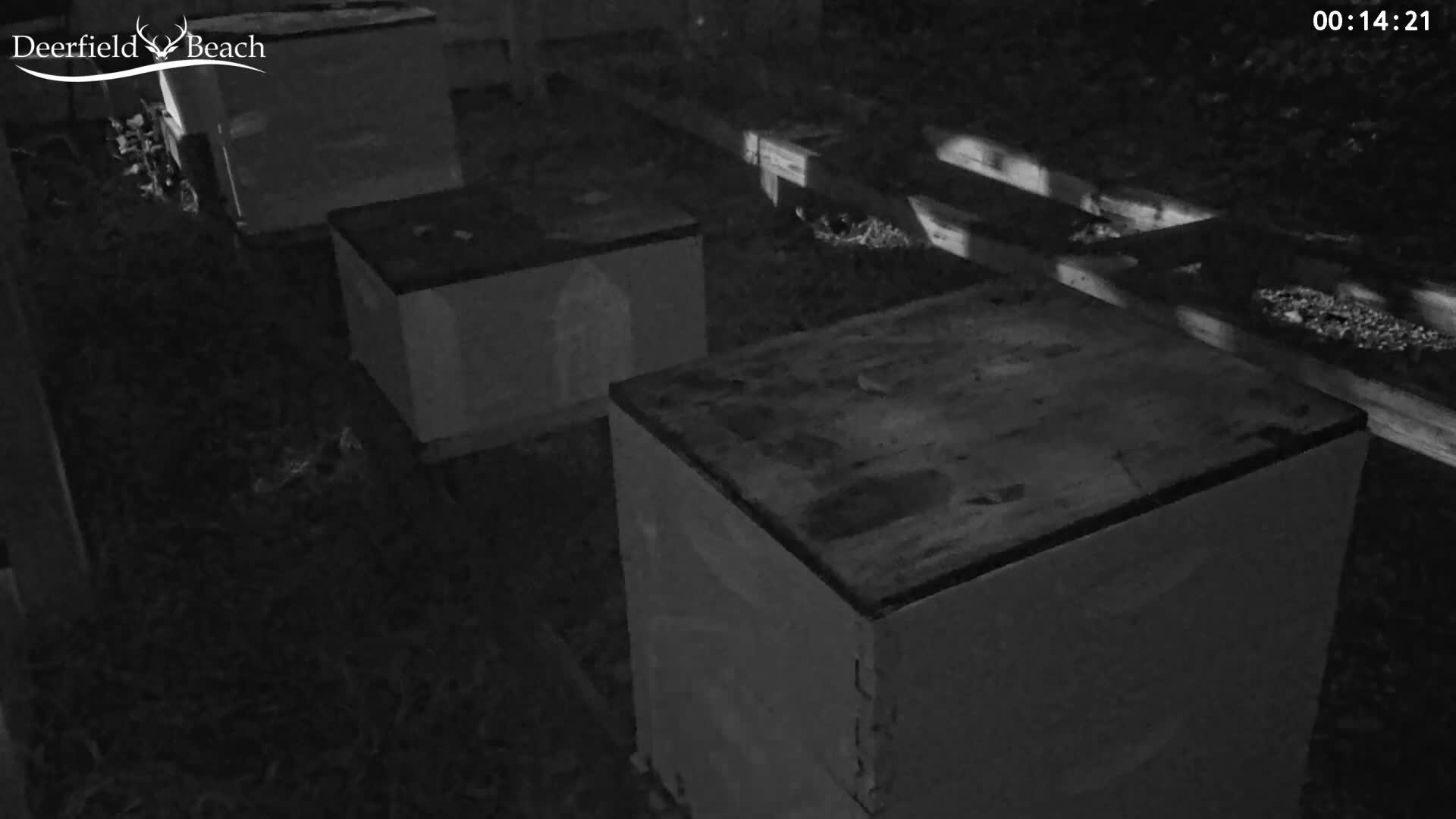 Deerfield Beach City Bee Apiary Farm Live Cam - Deerfield Beach, Broward, Florida, USA