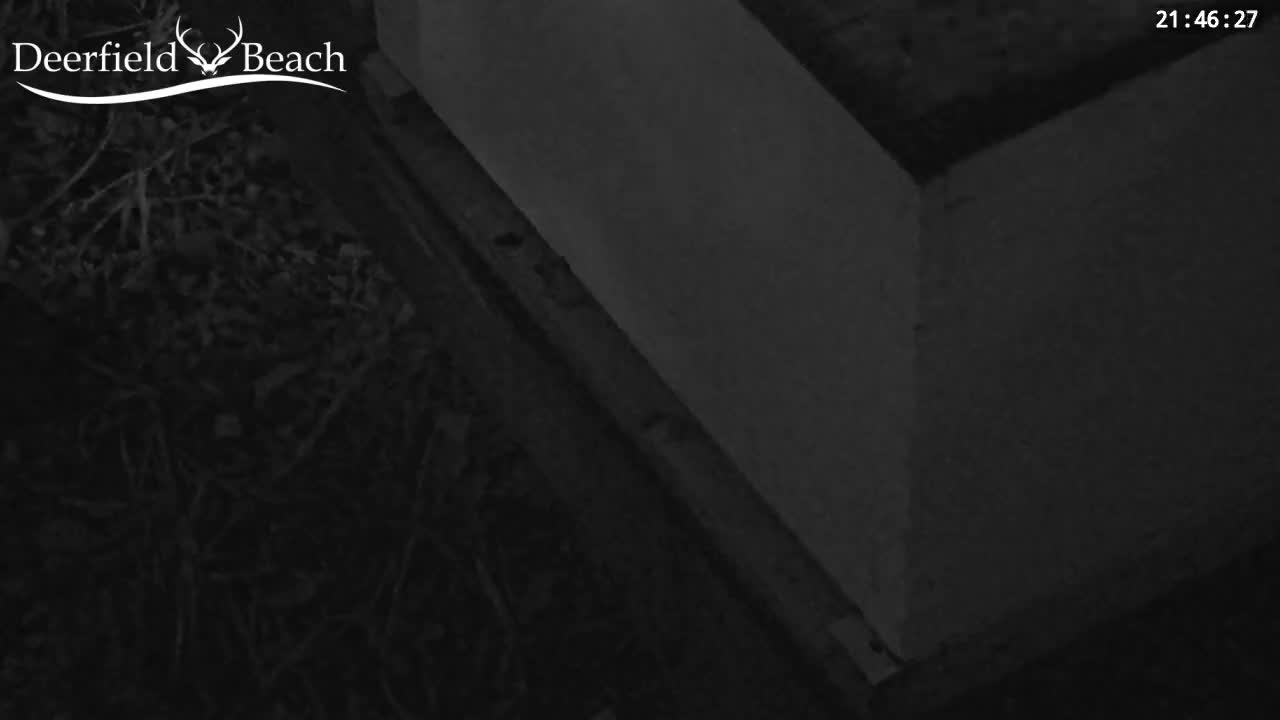 Deerfield Beach City Bee Apiary Farm Live Cam - Deerfield Beach, Broward, Florida, USA