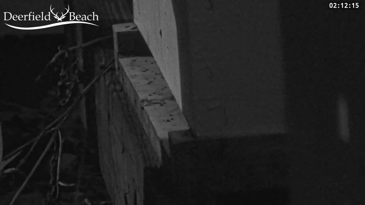 Deerfield Beach City Bee Apiary Farm Live Cam - Deerfield Beach, Broward, Florida, USA