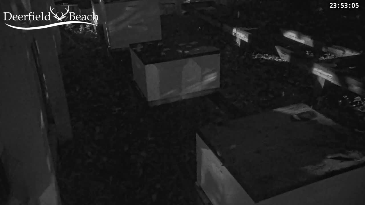 Deerfield Beach City Bee Apiary Farm Live Cam - Deerfield Beach, Broward, Florida, USA