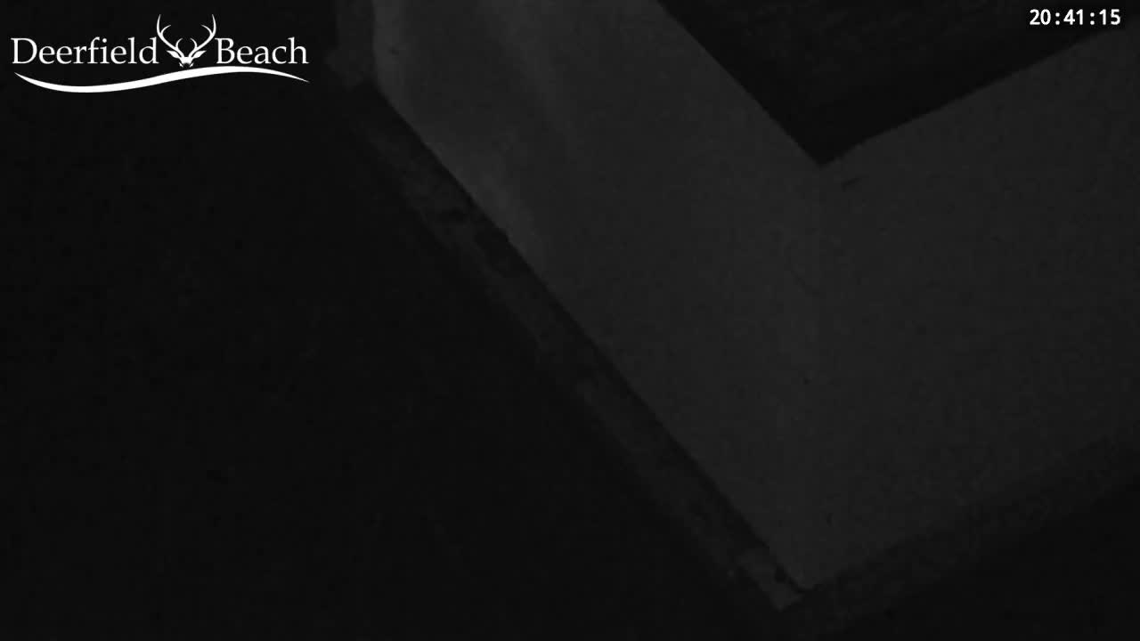 Deerfield Beach City Bee Apiary Farm Live Cam - Deerfield Beach, Broward, Florida, USA