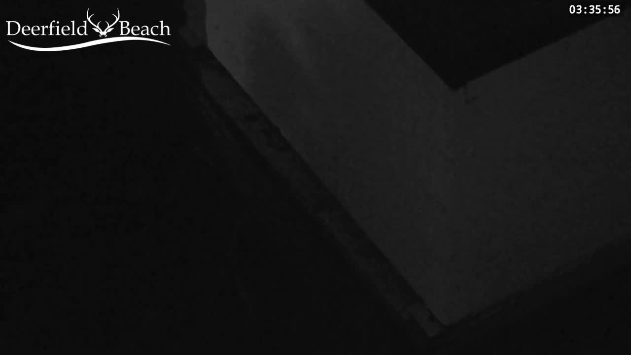 Deerfield Beach City Bee Apiary Farm Live Cam - Deerfield Beach, Broward, Florida, USA