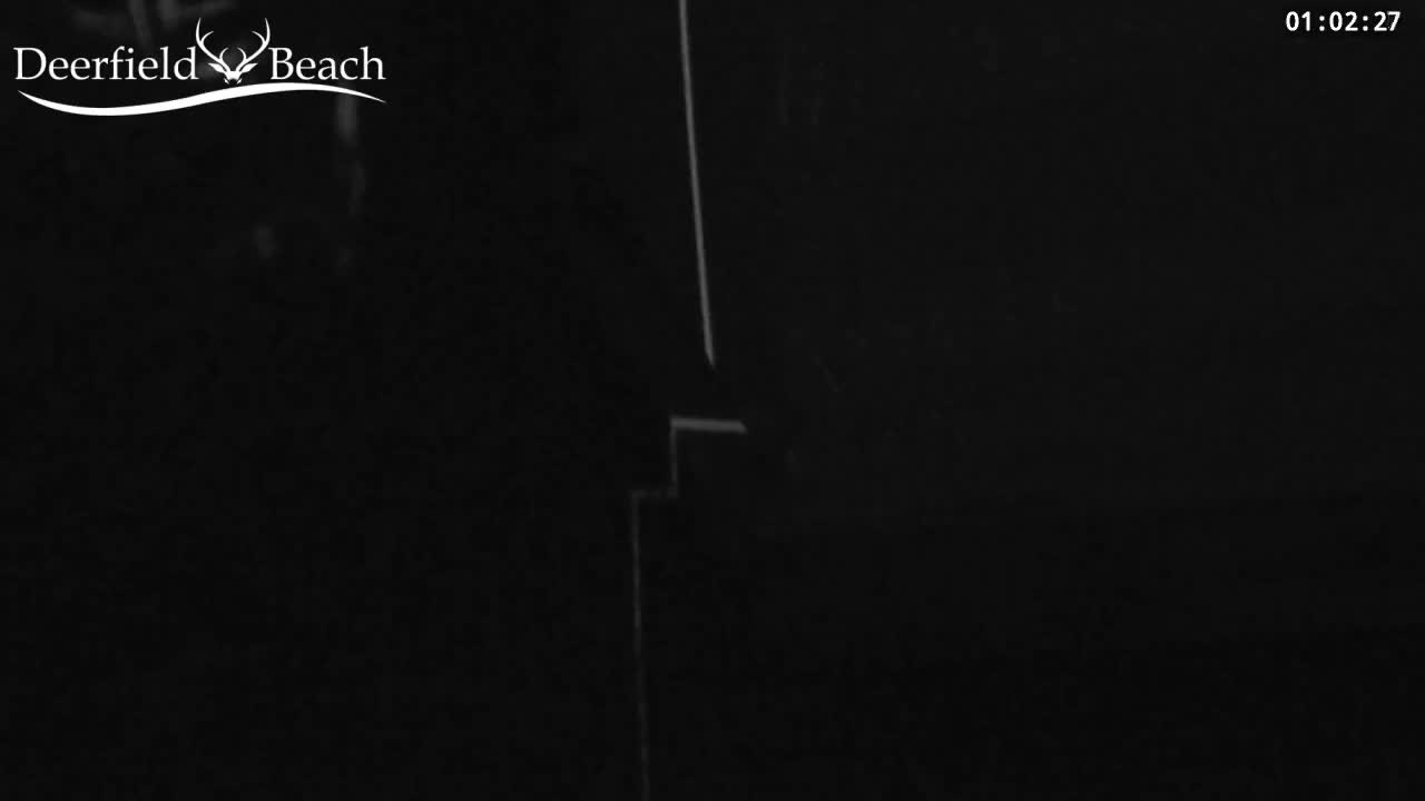 Deerfield Beach City Bee Apiary Farm Live Cam - Deerfield Beach, Broward, Florida, USA