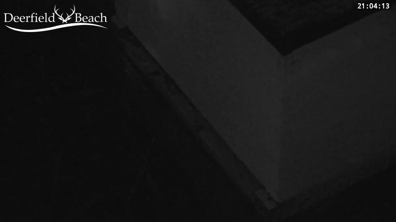 Deerfield Beach City Bee Apiary Farm Live Cam - Deerfield Beach, Broward, Florida, USA