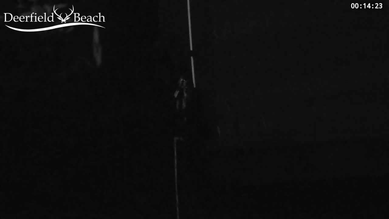Deerfield Beach City Bee Apiary Farm Live Cam - Deerfield Beach, Broward, Florida, USA