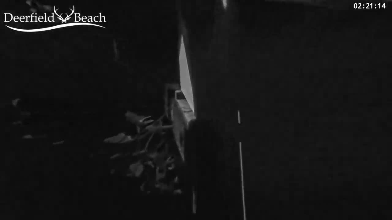 Deerfield Beach City Bee Apiary Farm Live Cam - Deerfield Beach, Broward, Florida, USA