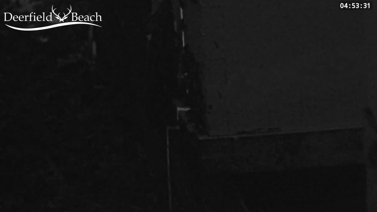 Deerfield Beach City Bee Apiary Farm Live Cam - Deerfield Beach, Broward, Florida, USA