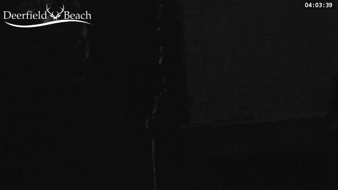 Deerfield Beach City Bee Apiary Farm Live Cam - Deerfield Beach, Broward, Florida, USA