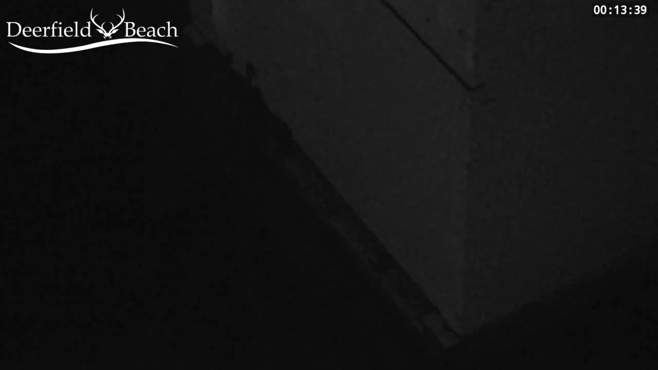 Deerfield Beach City Bee Apiary Farm Live Cam - Deerfield Beach, Broward, Florida, USA