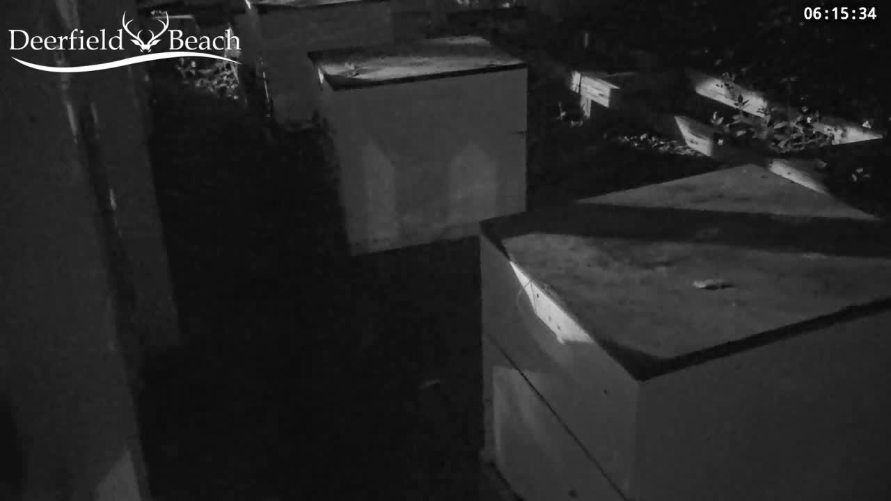 Deerfield Beach City Bee Apiary Farm Live Cam - Deerfield Beach, Broward, Florida, USA