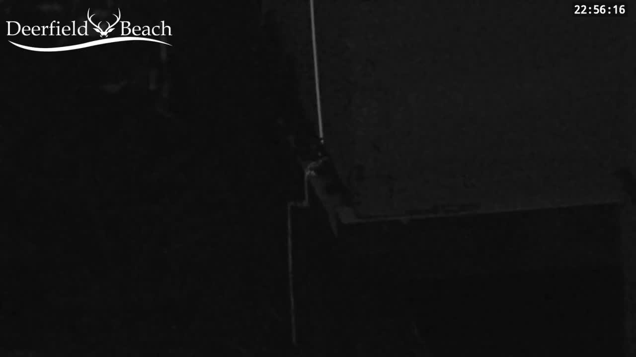 Deerfield Beach City Bee Apiary Farm Live Cam - Deerfield Beach, Broward, Florida, USA