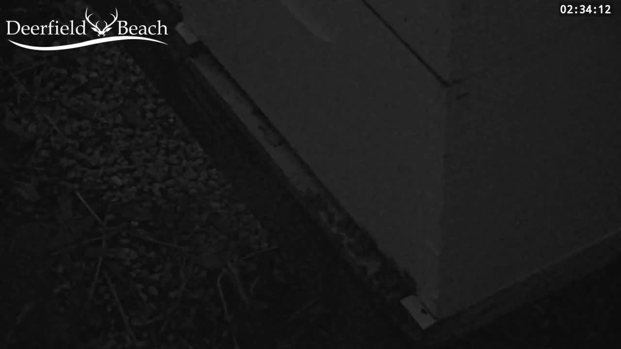 Deerfield Beach City Bee Apiary Farm Live Cam - Deerfield Beach, Broward, Florida, USA
