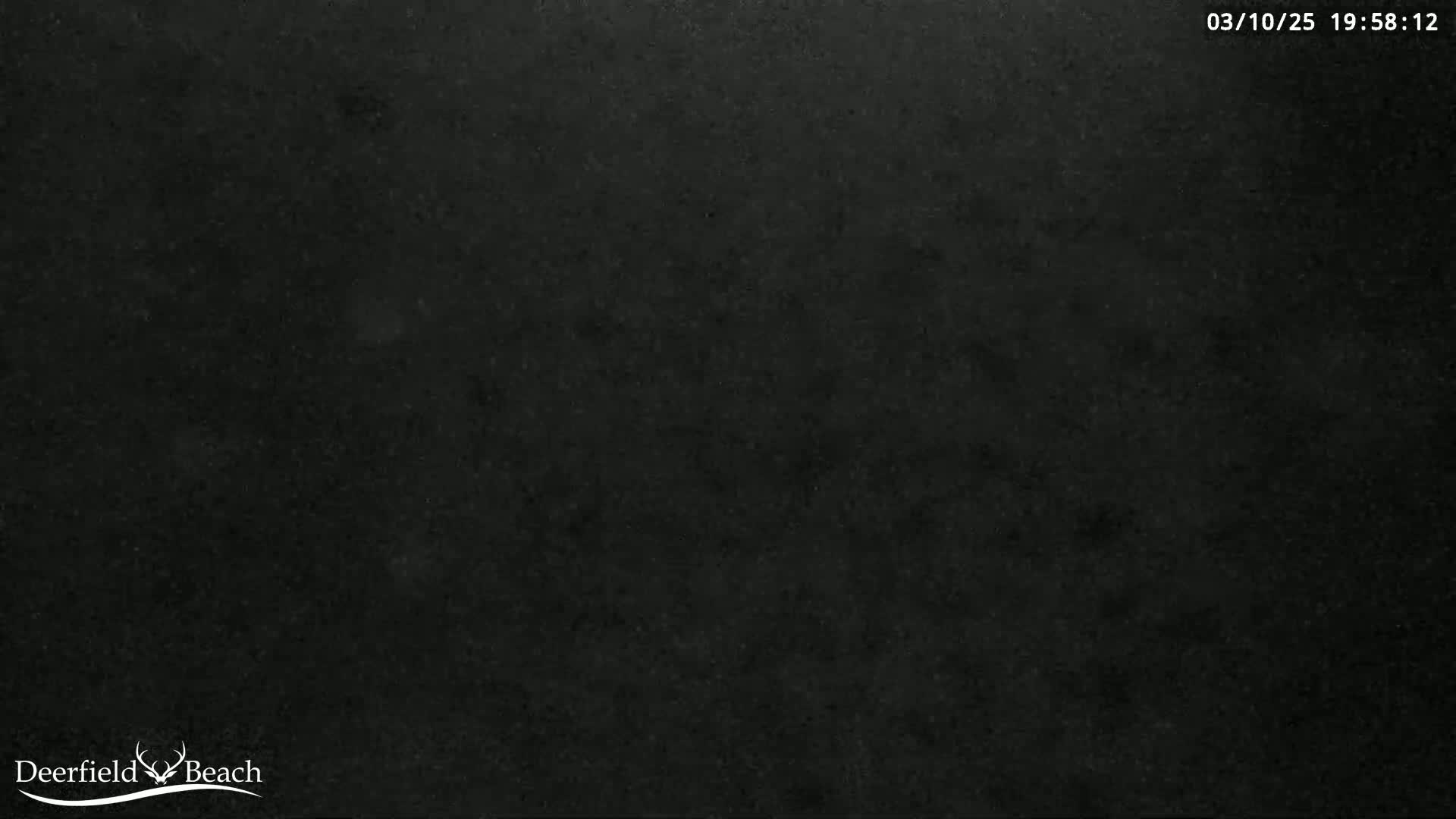 A dark, uniformly textured surface fills the entire image.