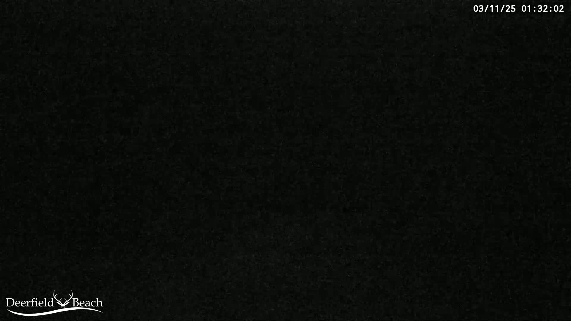 The image shows a completely black, textured background.