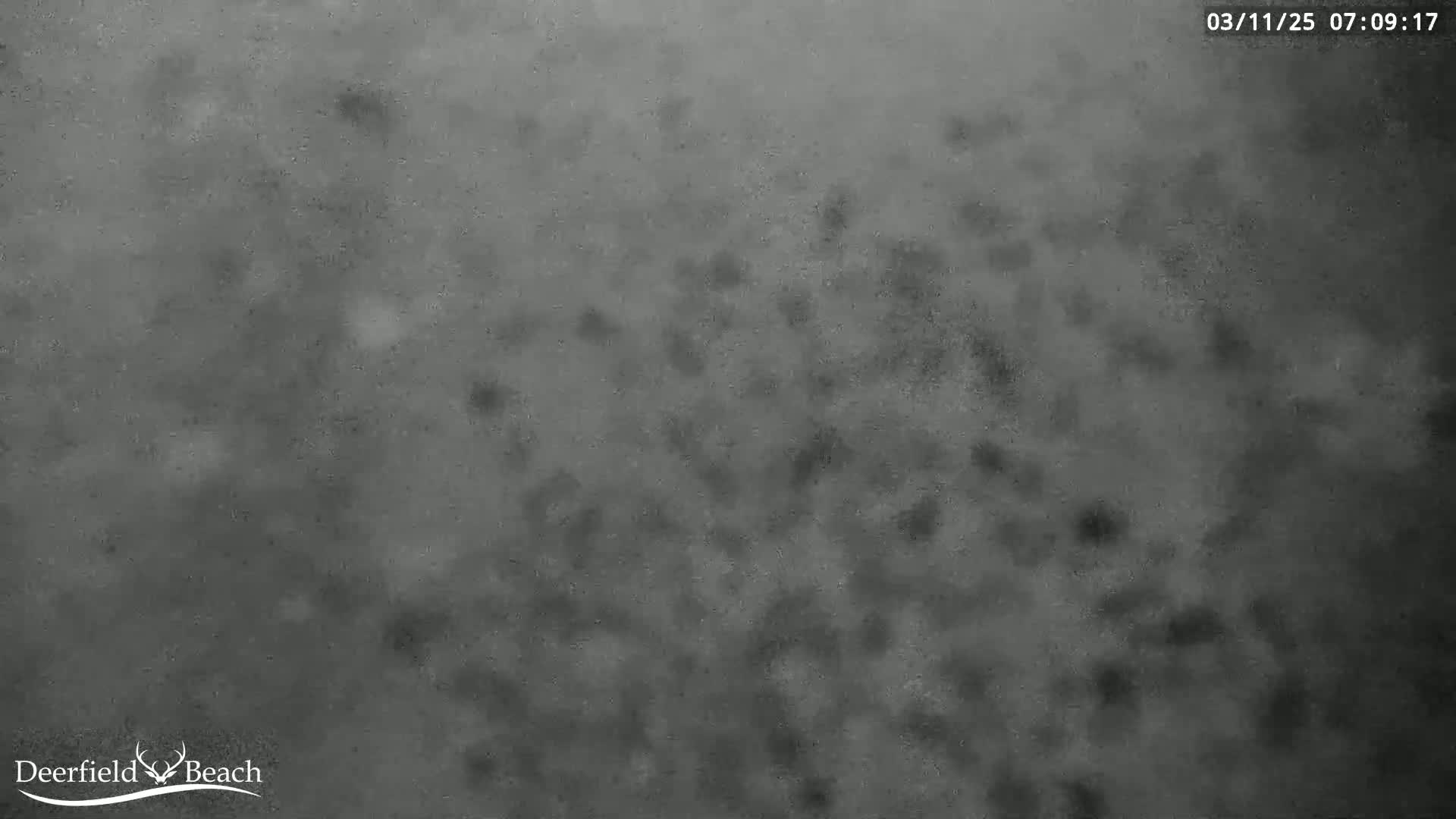 A blurry, grayscale image shows a dark, mottled surface.