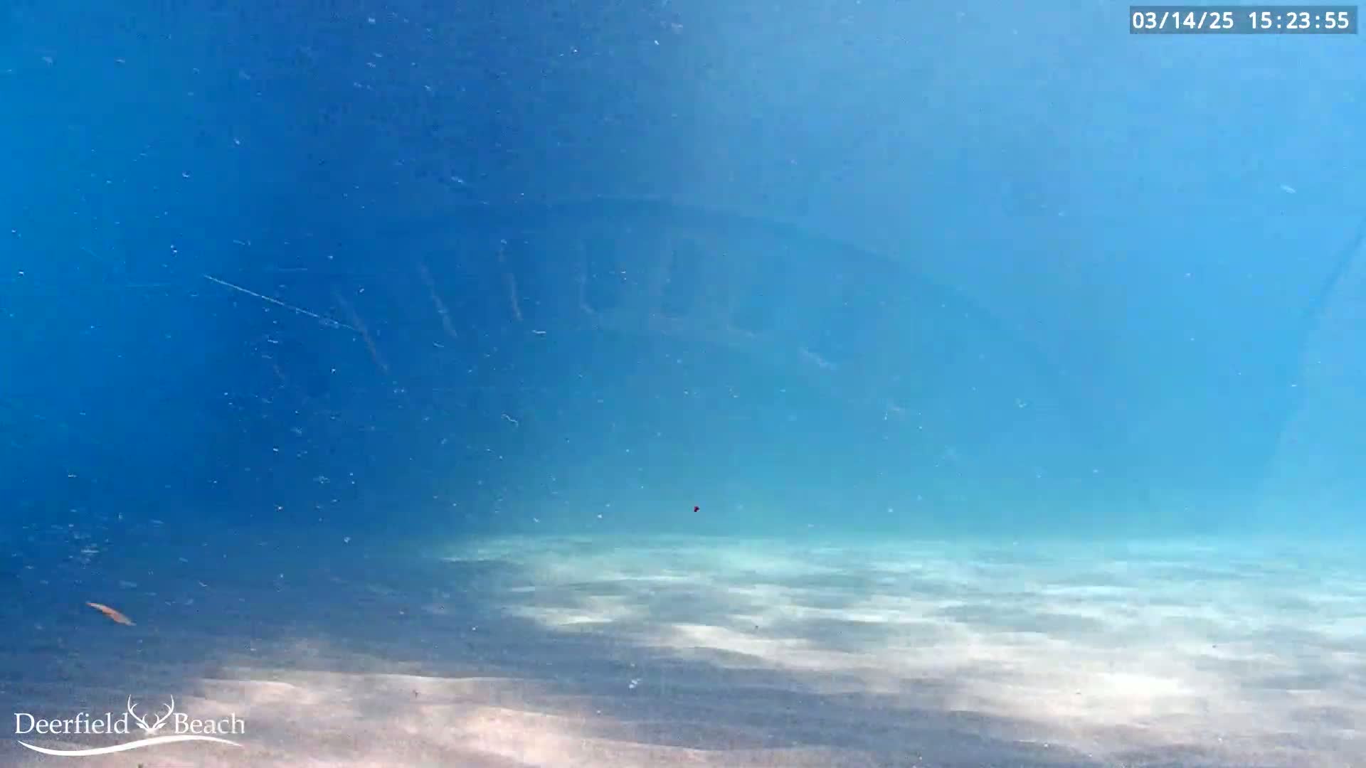 An underwater view shows a sandy bottom and clear, blue water.