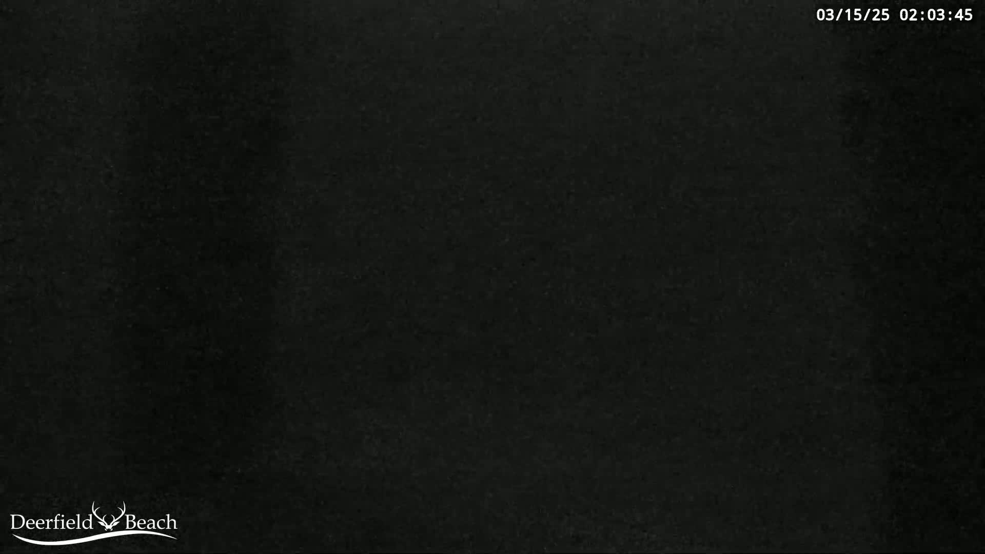 A completely dark, uniformly textured image is shown.