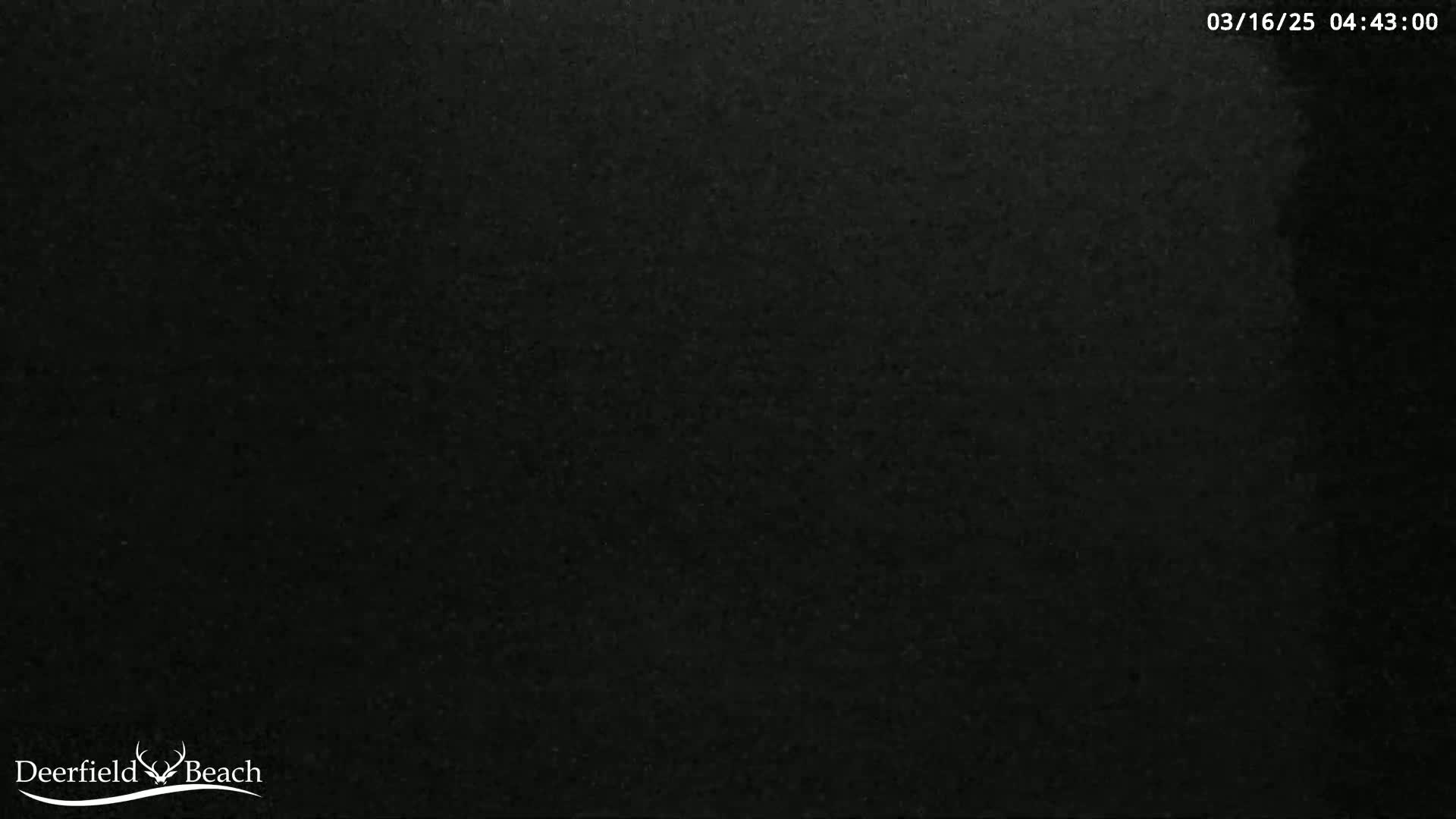 The image shows a completely dark, grainy surface.