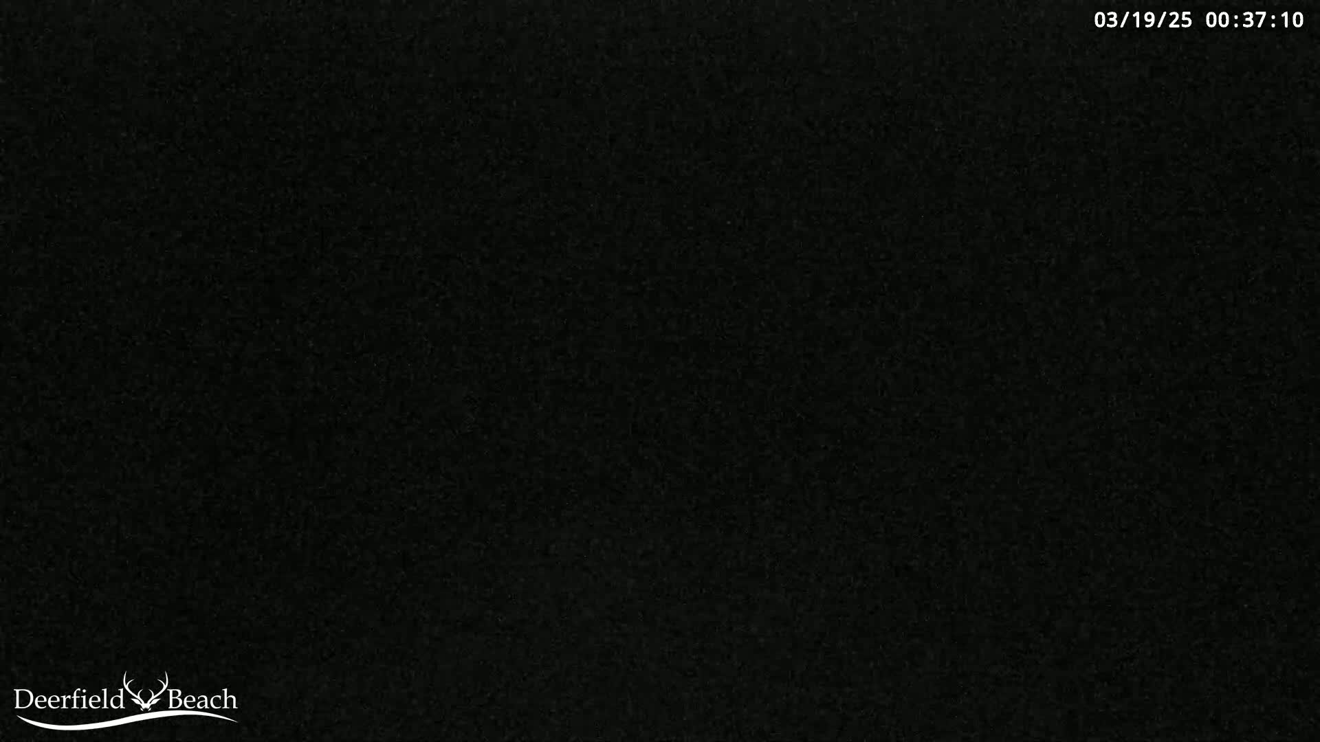 The image shows a completely dark, grainy field of view.