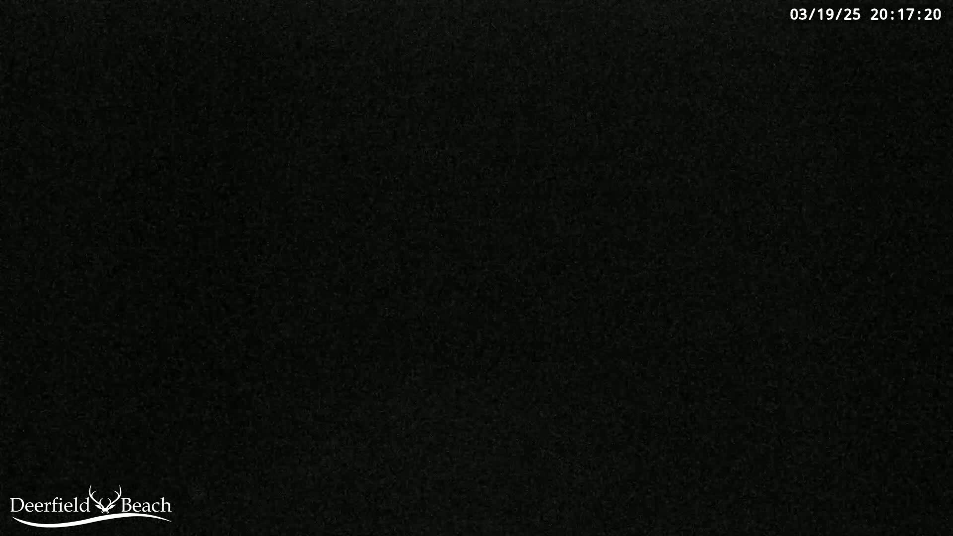 The image is a completely black, grainy screen.