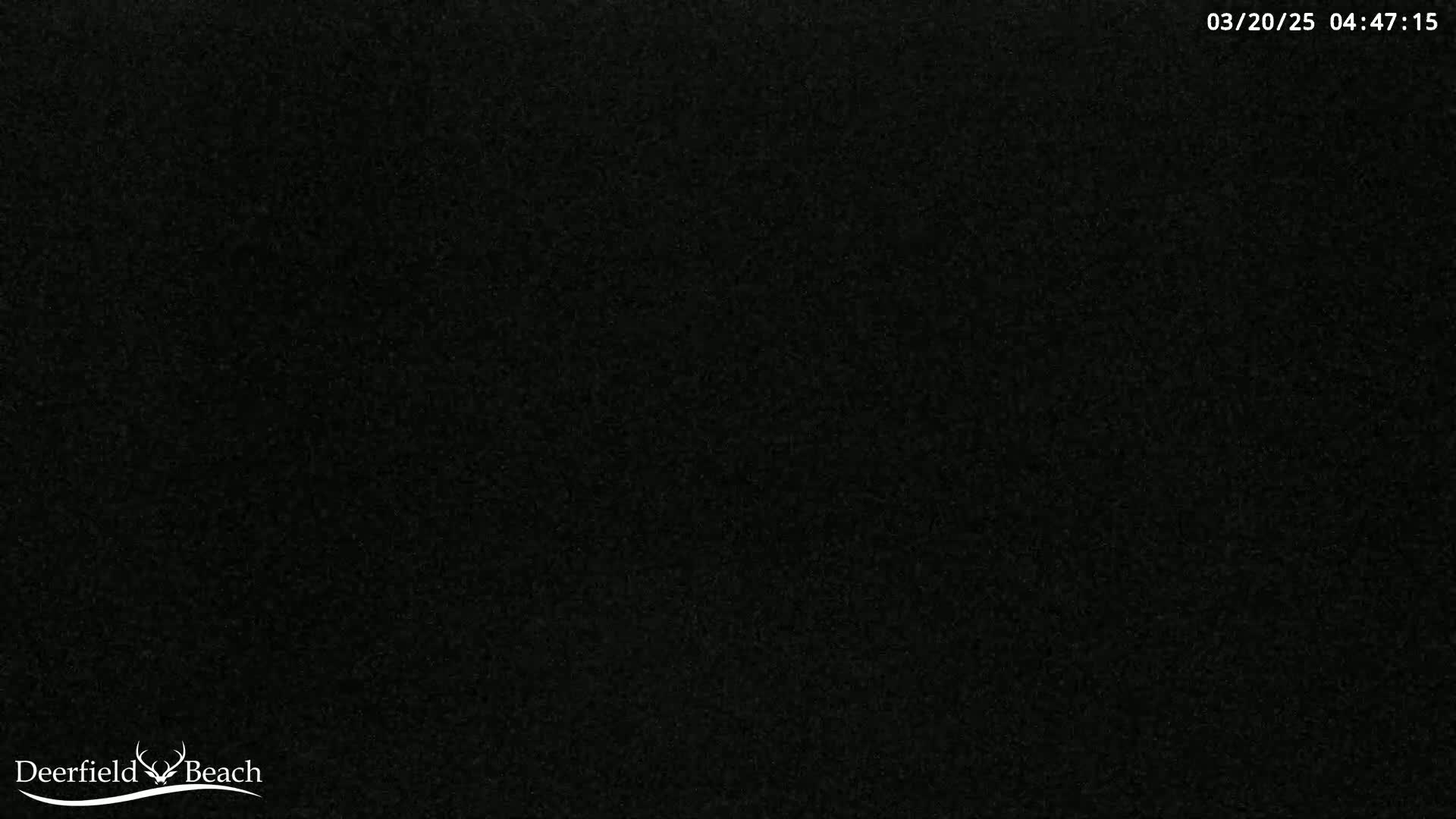 The image shows a completely dark, grainy field.